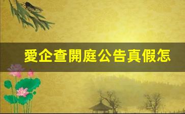 愛企查開庭公告